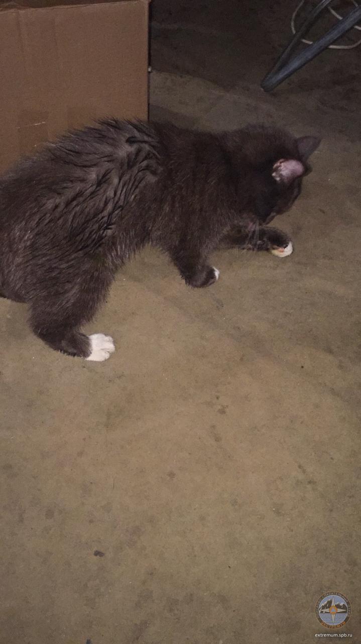 WhatsApp Image 2020-11-20 at 12.50.50.jpeg