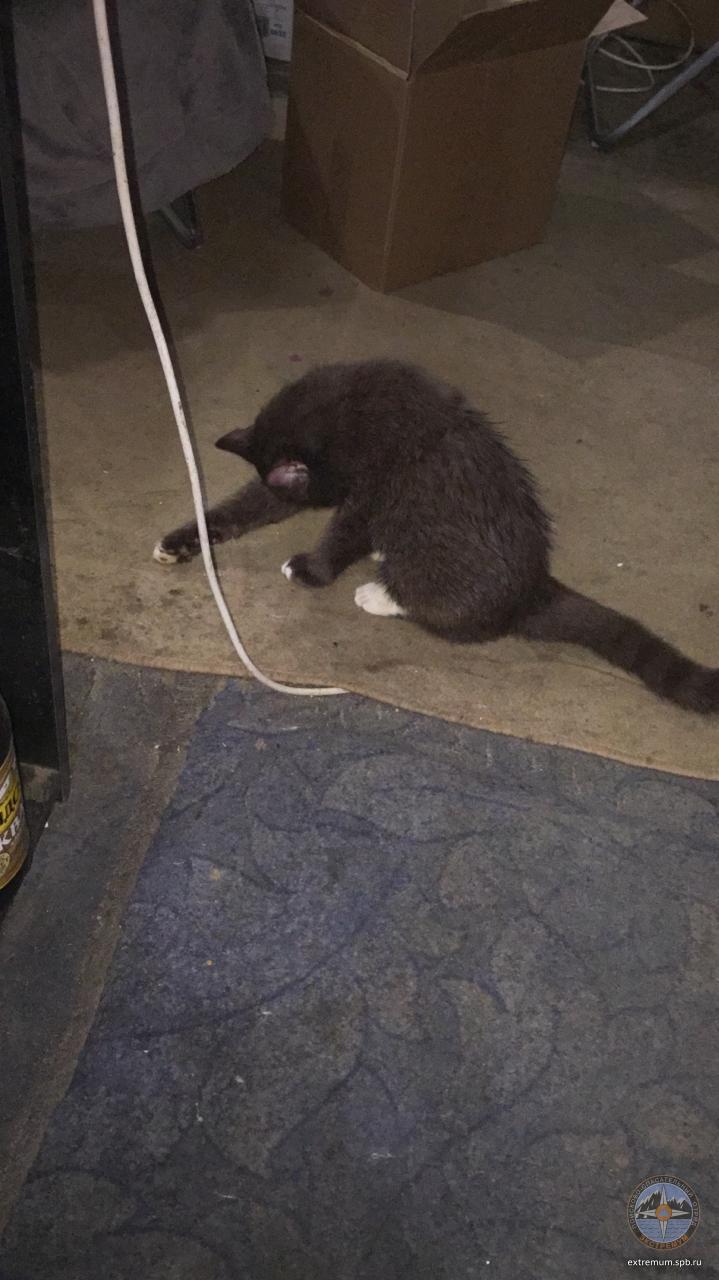 WhatsApp Image 2020-11-20 at 12.52.38.jpeg