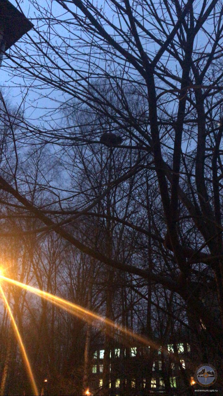 WhatsApp Image 2020-12-03 at 16.25.36.jpeg