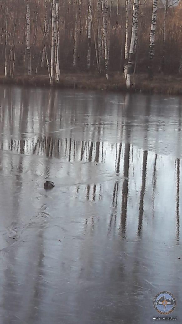 WhatsApp Image 2020-12-08 at 12.53.28.jpeg