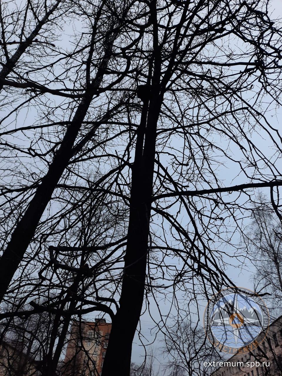 WhatsApp Image 2020-12-11 at 11.51.03.jpeg