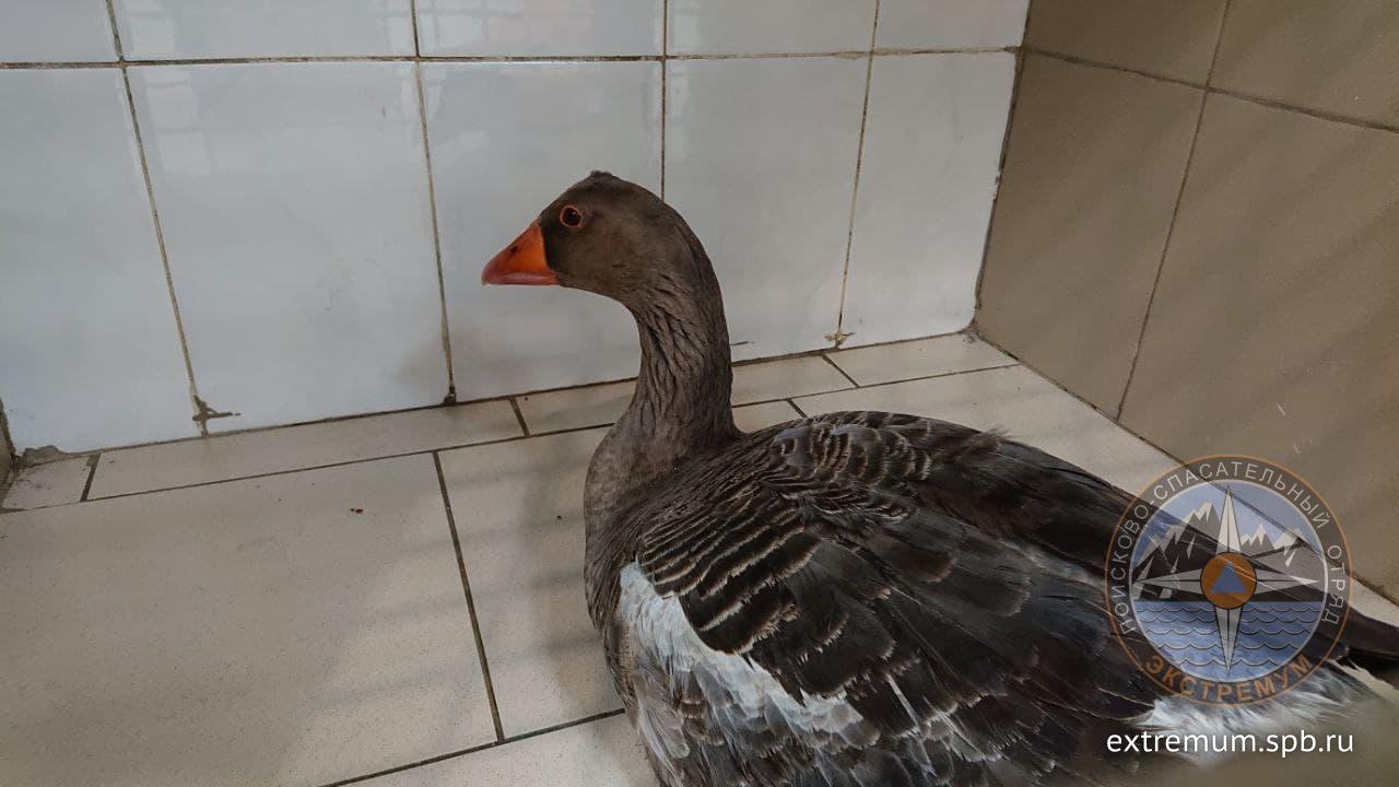 photo_2020-12-28_12-57-10 (2).jpg