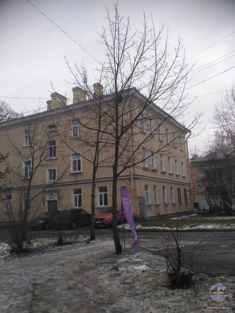 WhatsApp Image 2021-01-27 at 11.42.36.jpeg