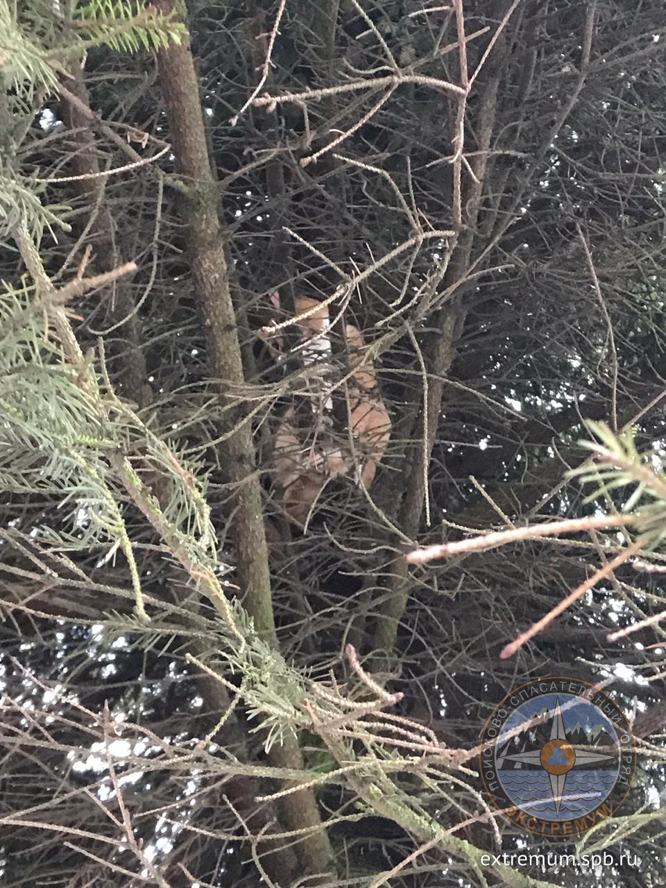 WhatsApp Image 2021-01-27 at 16.14.22.jpeg