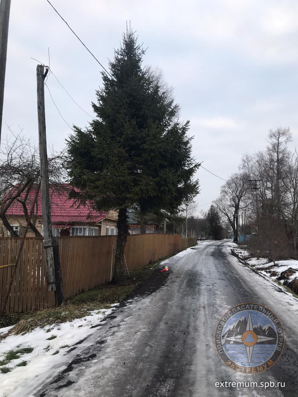 WhatsApp Image 2021-01-27 at 16.12.36.jpeg