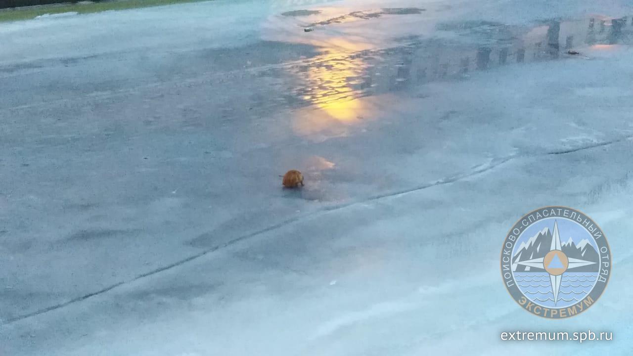 WhatsApp Image 2021-01-28 at 09.10.43.jpeg