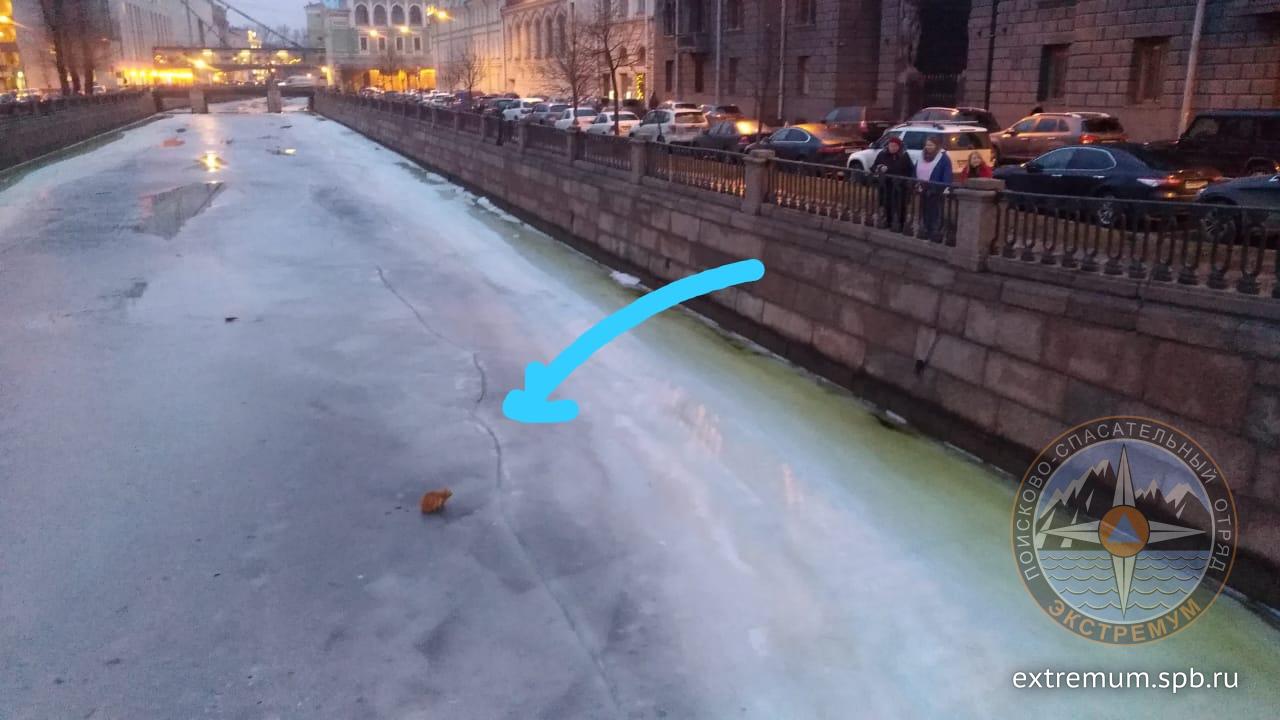 WhatsApp Image 2021-01-28 at 09.10.04.jpeg