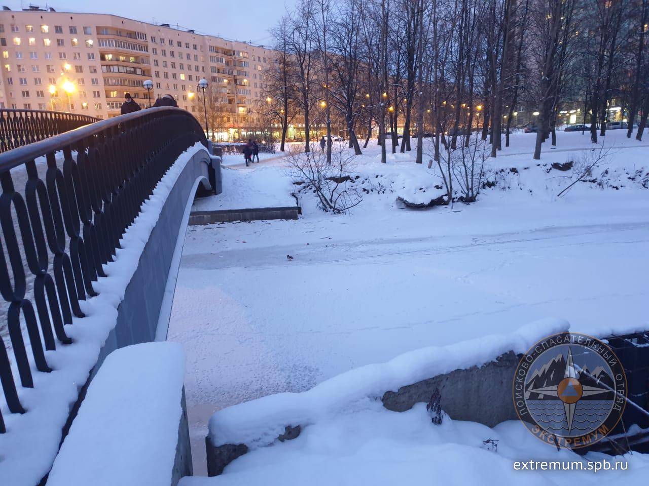 WhatsApp Image 2021-02-11 at 18.09.51.jpeg