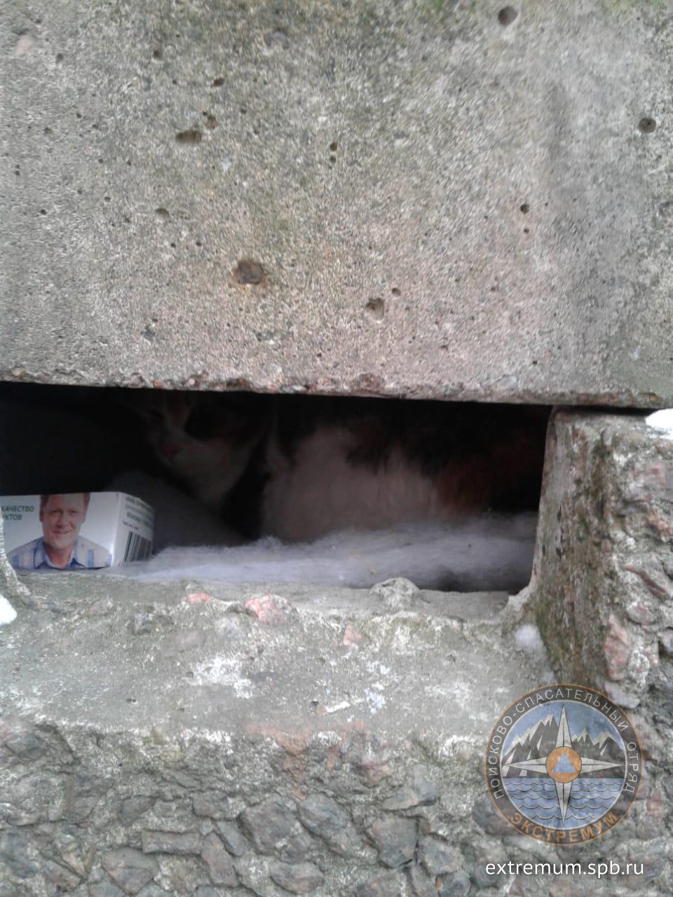 WhatsApp Image 2021-02-12 at 10.52.43.jpeg