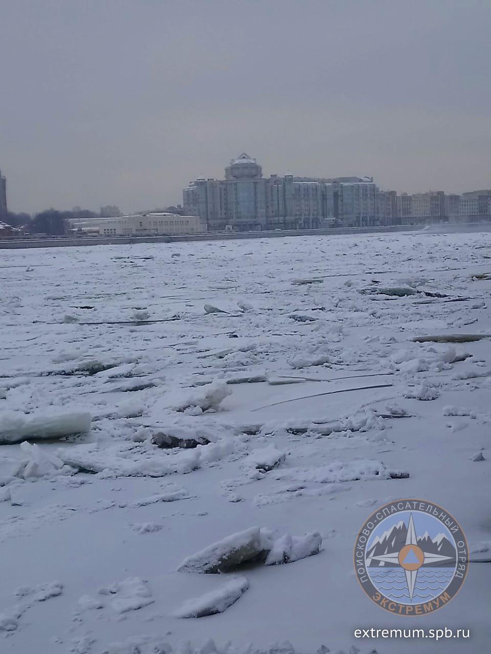 WhatsApp Image 2021-02-12 at 11.21.15.jpeg