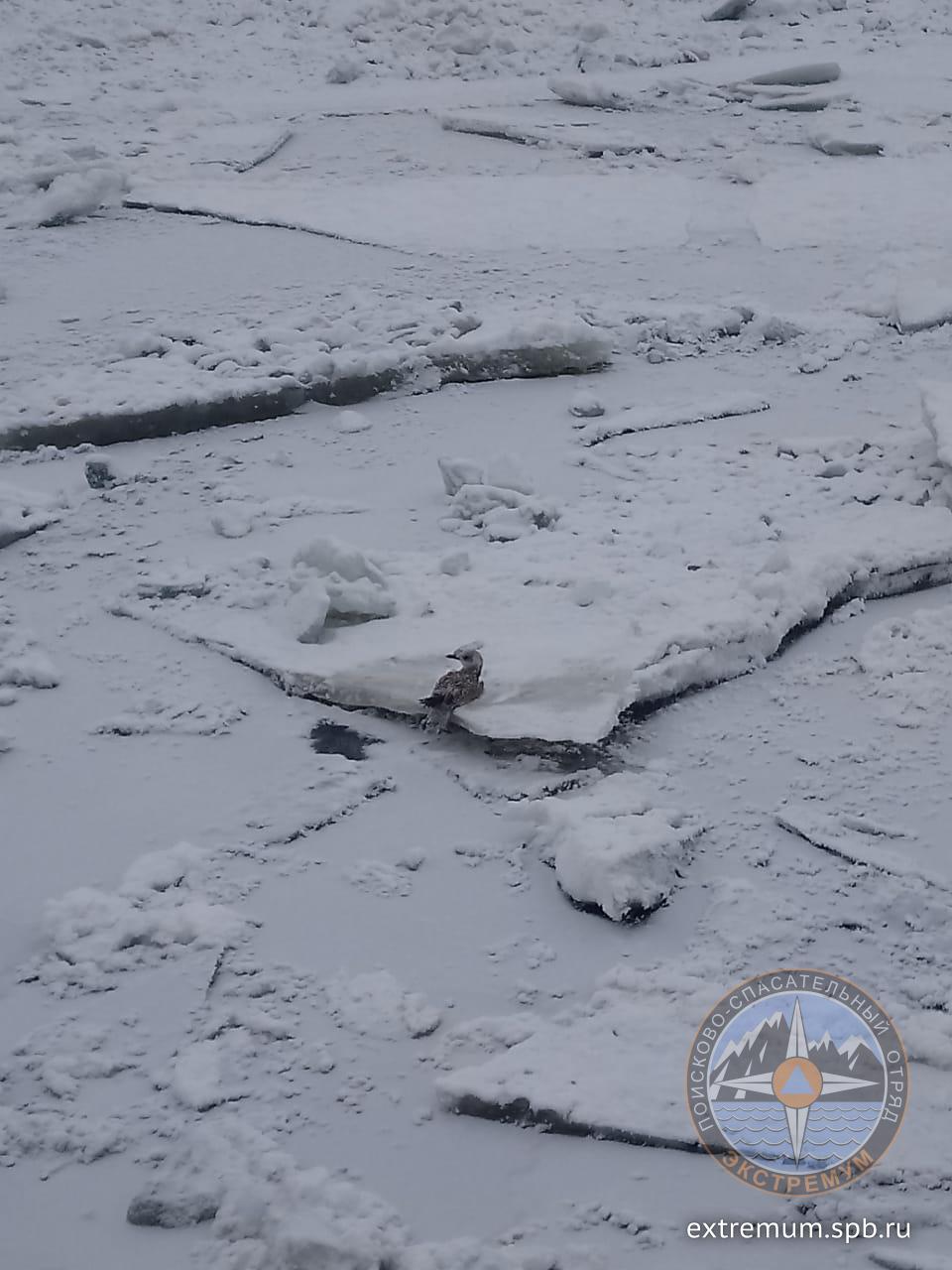 WhatsApp Image 2021-02-12 at 11.20.52.jpeg