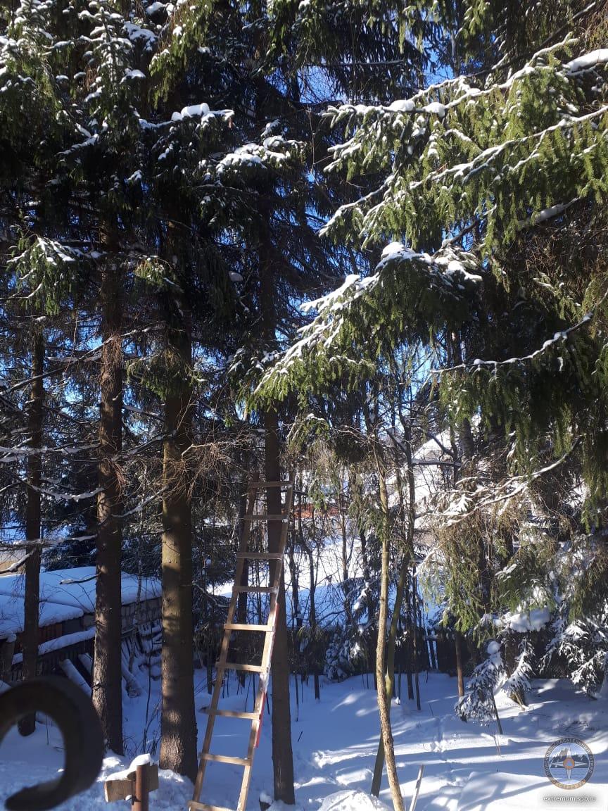 WhatsApp Image 2021-02-17 at 13.44.02.jpeg