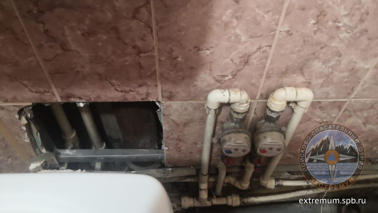 WhatsApp Image 2021-02-17 at 15.26.41.jpeg