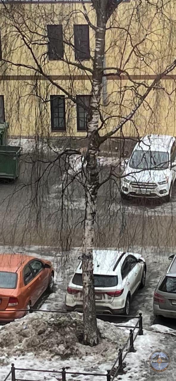 WhatsApp Image 2021-03-01 at 12.08.56 (1).jpeg