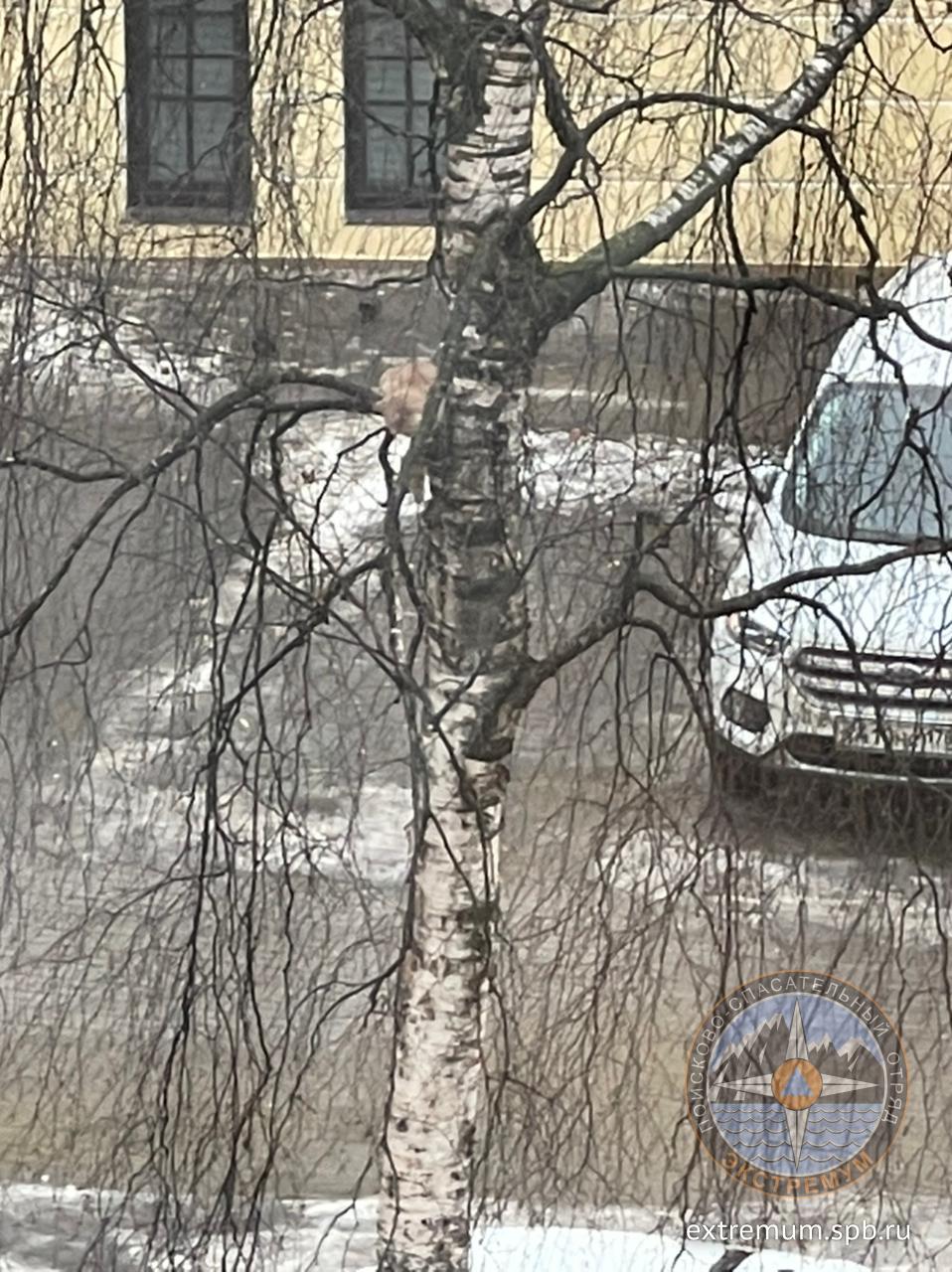 WhatsApp Image 2021-03-01 at 12.08.56.jpeg