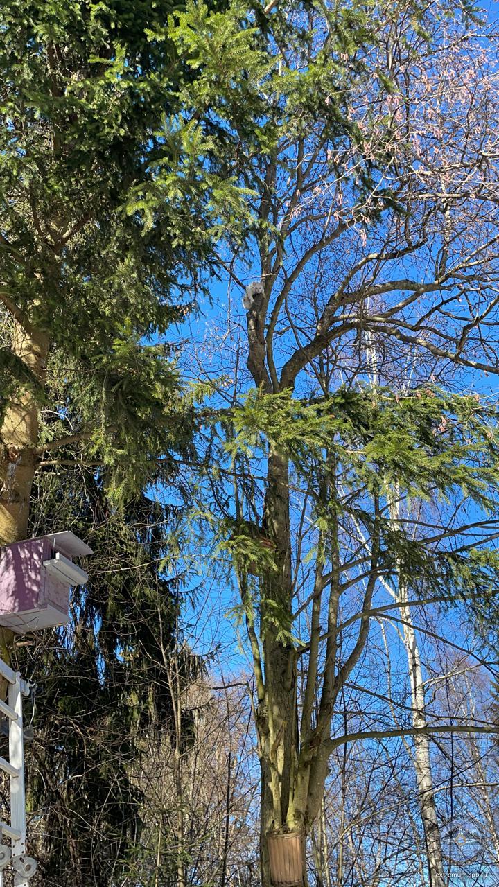 WhatsApp Image 2021-03-02 at 14.14.00.jpeg