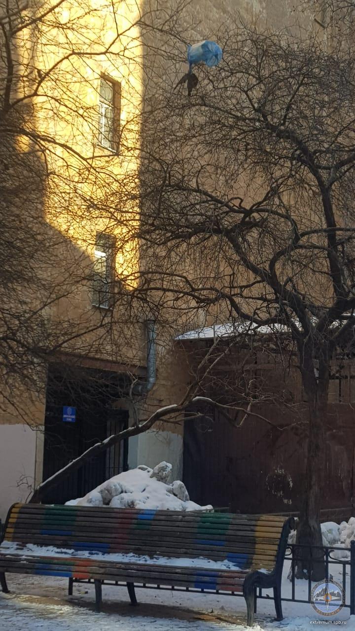 WhatsApp Image 2021-03-10 at 16.42.35 (1).jpeg