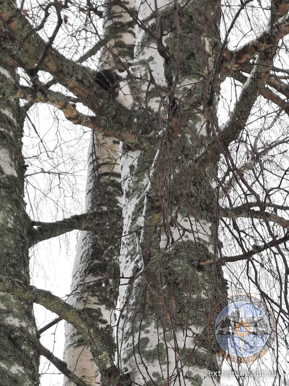 WhatsApp Image 2021-03-13 at 10.24.40.jpeg