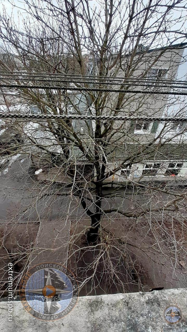 WhatsApp Image 2021-03-16 at 10.48.04 (1).jpeg