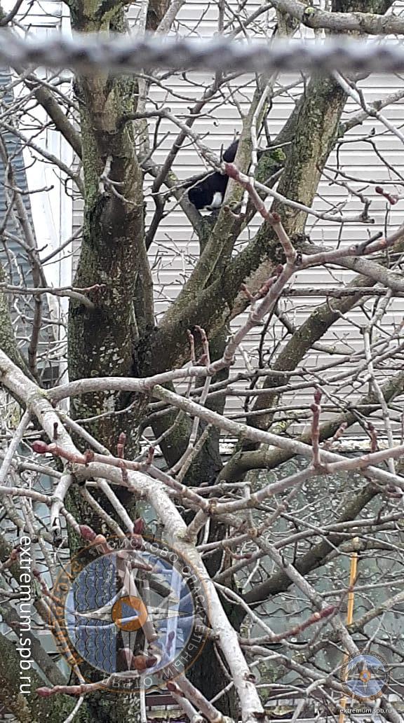 WhatsApp Image 2021-03-16 at 10.48.04 (2).jpeg