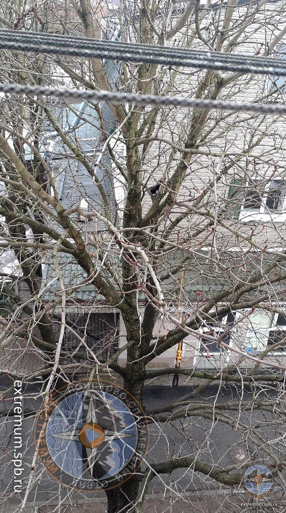 WhatsApp Image 2021-03-16 at 10.48.06.jpeg