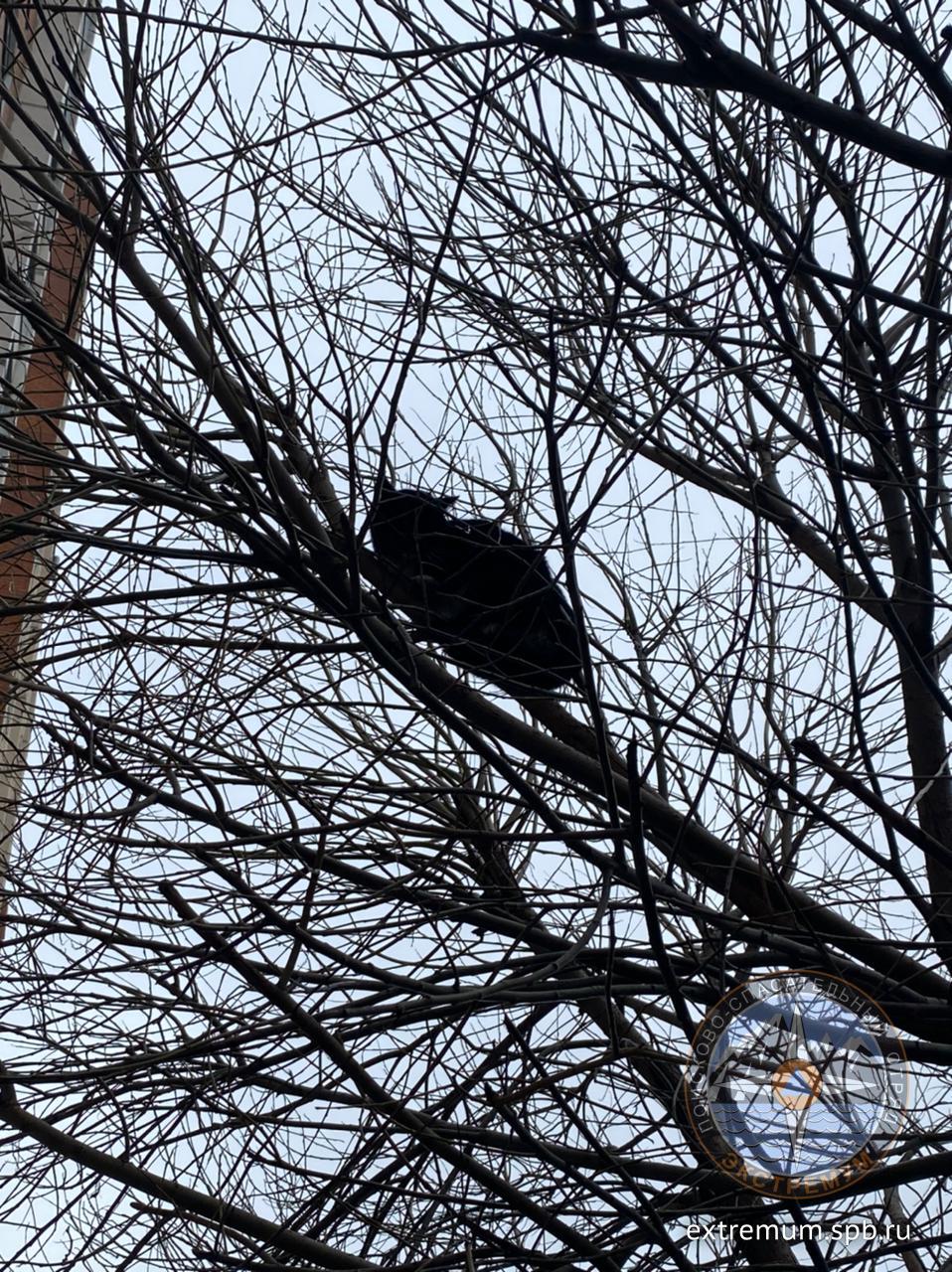 WhatsApp Image 2021-03-16 at 14.07.17.jpeg