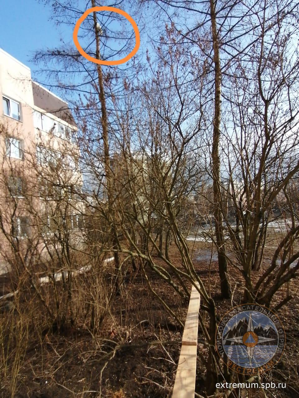 WhatsApp Image 2021-03-25 at 16.49.39.jpeg