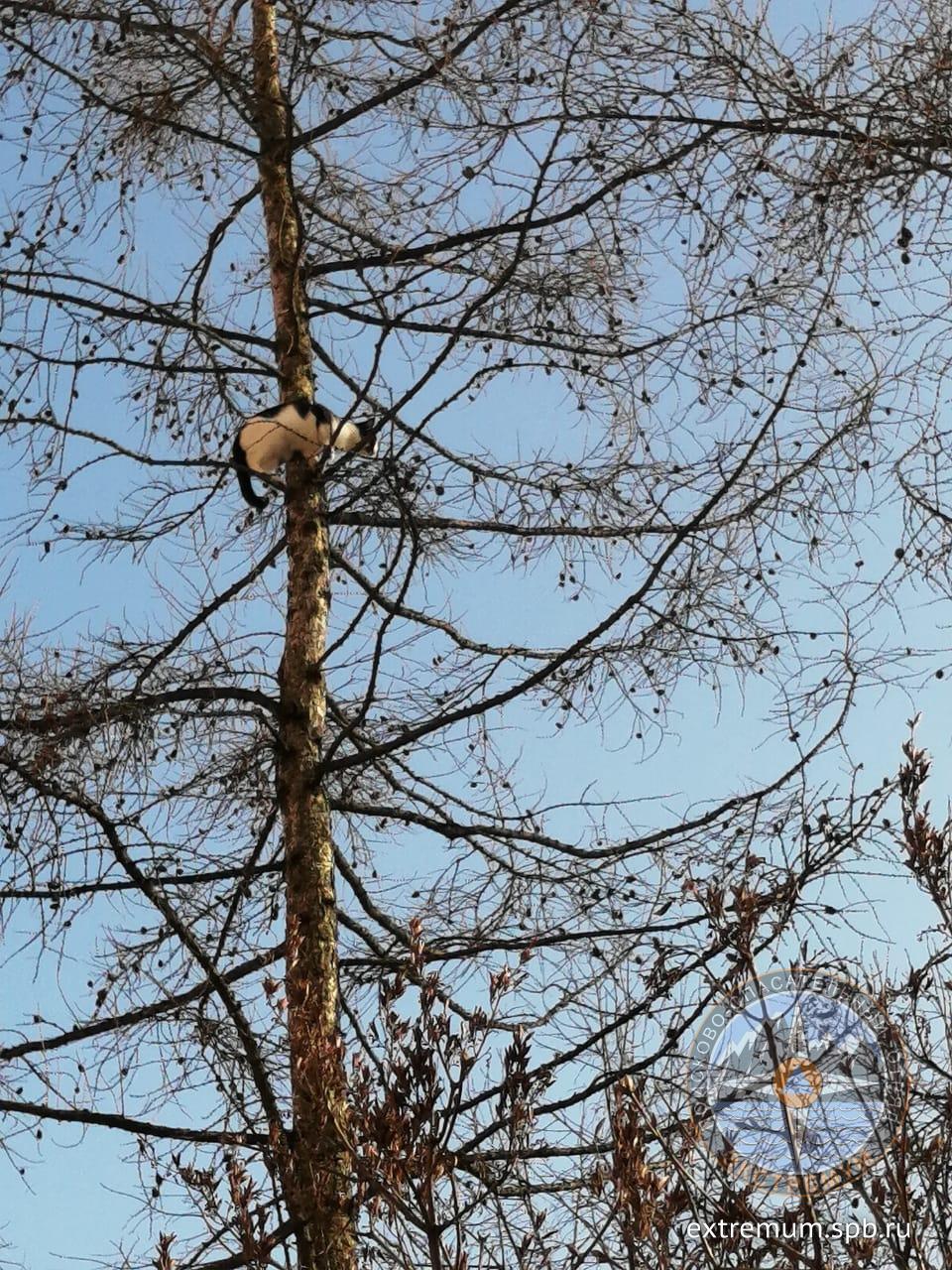 WhatsApp Image 2021-03-25 at 16.49.39 (1).jpeg