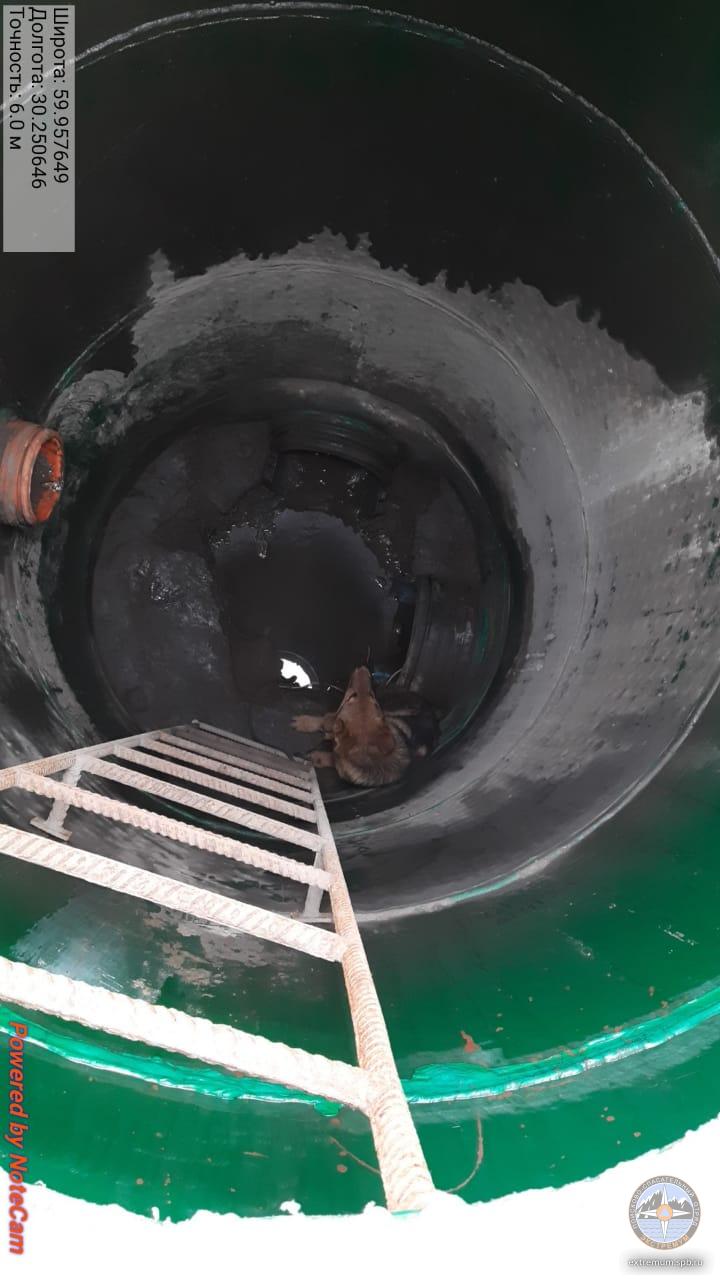 WhatsApp Image 2021-03-26 at 14.26.01.jpeg