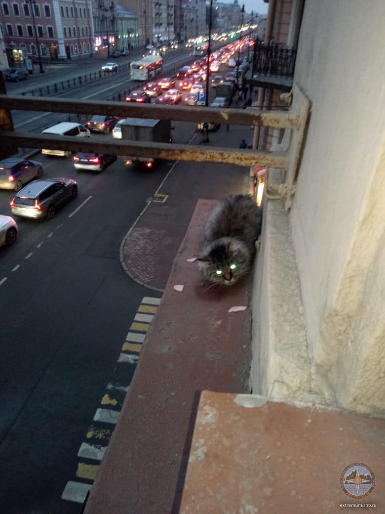 WhatsApp Image 2021-03-26 at 19.40.11.jpeg