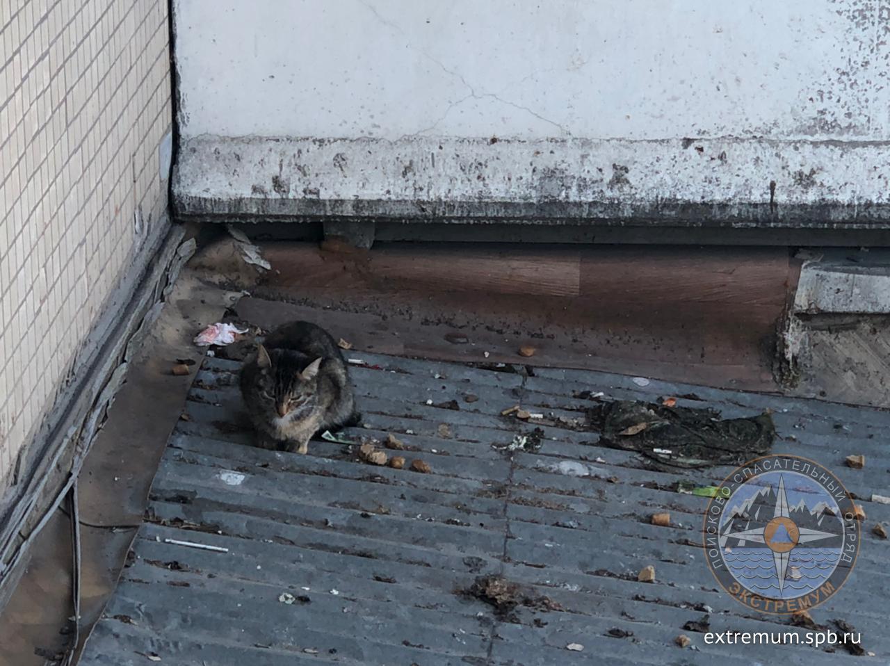 WhatsApp Image 2021-03-28 at 09.18.59.jpeg