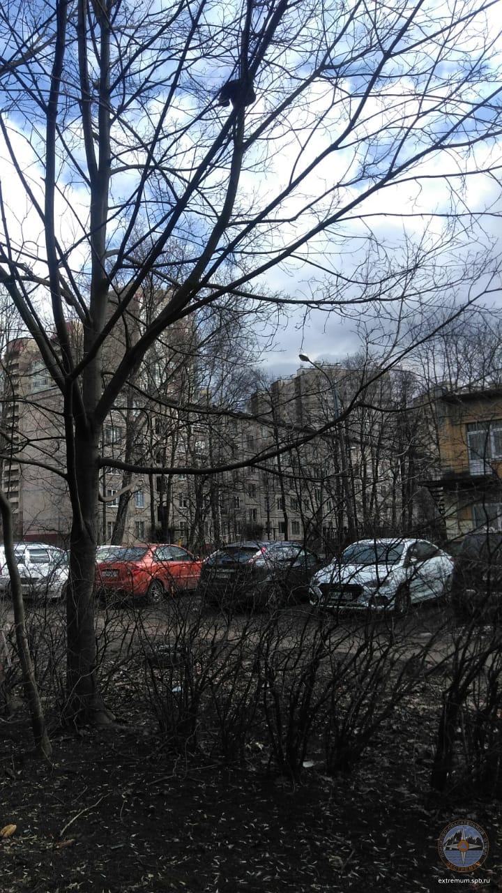 WhatsApp Image 2021-04-03 at 15.20.38.jpeg