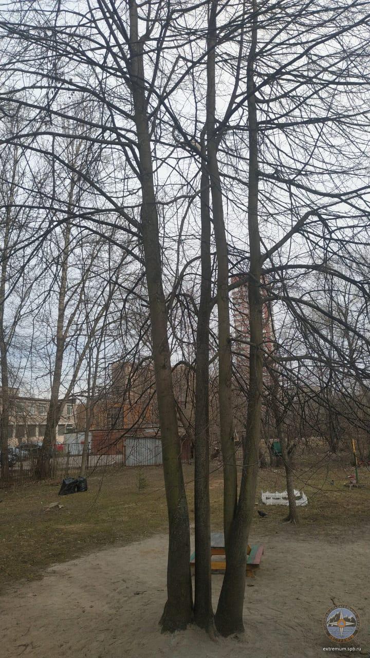 WhatsApp Image 2021-04-12 at 12.47.51.jpeg