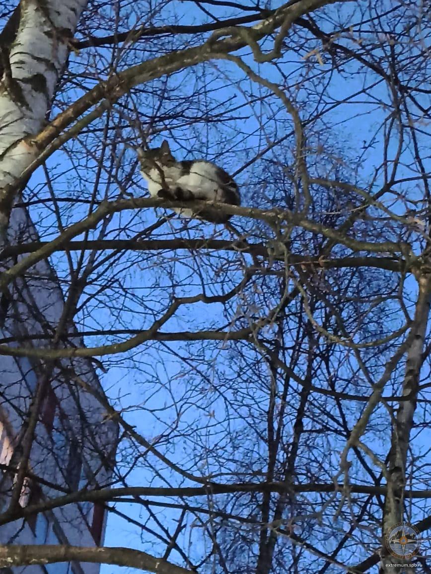 WhatsApp Image 2021-04-15 at 21.16.46.jpeg