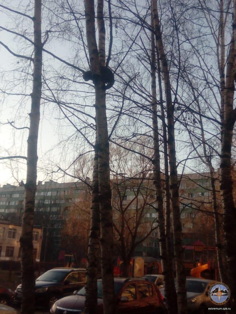 WhatsApp Image 2021-04-18 at 19.40.40.jpeg