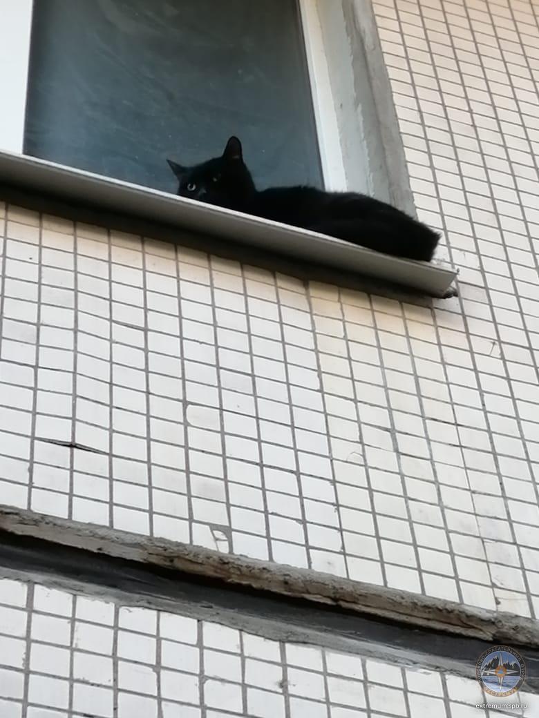 WhatsApp Image 2021-04-18 at 19.23.18.jpeg