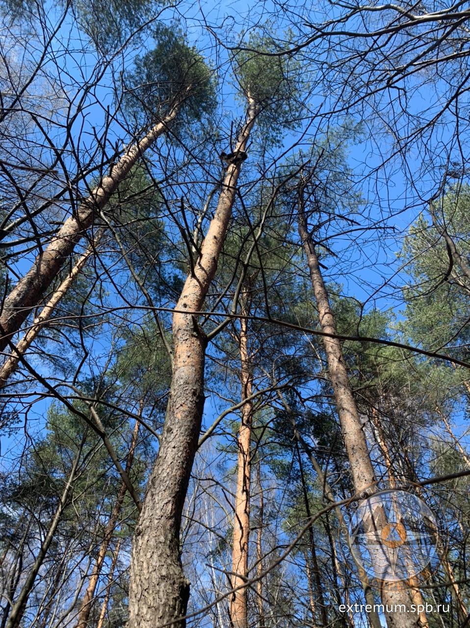 WhatsApp Image 2021-04-20 at 13.39.10.jpeg