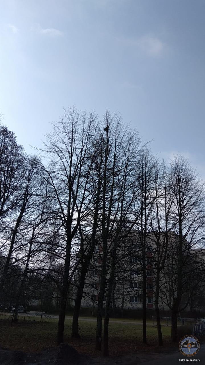 WhatsApp Image 2021-04-22 at 09.27.49.jpeg