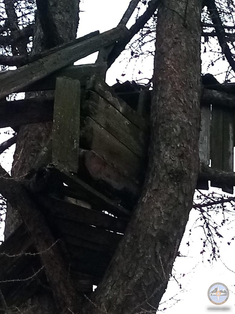 WhatsApp Image 2021-04-24 at 20.02.56.jpeg